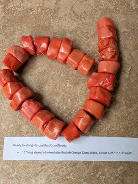 16" strand natural Red Orange Coral beads, 1.25 to 1.5" size each, 24 big beads